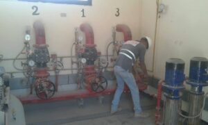 WhatsApp Image 2024-07-13 at 7.41.32 AM (1)